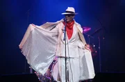 Manuel Rubey (Falco).