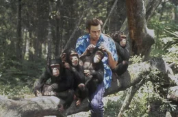 Haustierdetektiv Ace Ventura (Jim Carrey) wird beauftragt, einem afrikanischen Stamm die als heilig verehrte wei&szlig;e Fledermaus wiederzubringen. Ein Nachbarstamm wird verd&auml;chtigt, sie gestohlen zu haben.