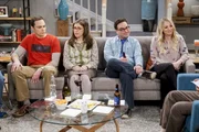 Nachdem Raj nun ohne Zusch&uuml;sse von seinem Vater auskommen muss, braucht er dringend einen Finanzmanager. Sheldon entwirft einen strengen Sparplan; Penny &uuml;berlegt, Leonard zur Comic-Con zu begleiten.