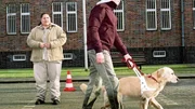 Nancy (Livia S. Reinhard) sabotiert Roxys Eignungstest mit Lukas (David Kramer) zum Blindenhund, um das Tier behalten zu k&ouml;nnen...