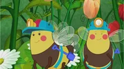 Zo&eacute; und ihre Freunde sind als Elfen unterwegs und lernen in einem Blumenfeld eine kleine Biene kennen.
