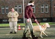 Nancy sabotiert Roxys Eignungstest mit Lukas zum Blindenhund, um das Tier behalten zu k&ouml;nnen.