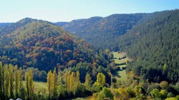 Der Cevennen-Nationalpark im Herbst. Der Nationalpark wurde 1970 gegr&uuml;ndet und ist einer der gr&ouml;&szlig;ten Nationalparks Frankreichs.