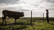 Livia (Ulrike C. Tscharre) entdeckt einen Stier