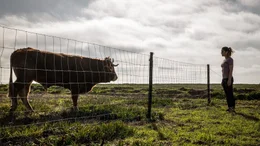 Livia (Ulrike C. Tscharre) entdeckt einen Stier