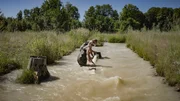 Fisch&ouml;kologen der TU M&uuml;nchen untersuchen, inwieweit die neuen Umgehungsgew&auml;sser am Inn Fischen und Kleinstlebewesen helfen k&ouml;nnen.