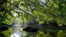 Der Fluss Tarn im Cevennen-Nationalpark. Er entspringt im Massiv des Mont Loz&egrave;re, dem h&ouml;chsten Berg der Cevennen und flie&szlig;t in den Atlantik.