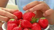 Klivia pflanzt Erdbeeren. Im Zeitraffer wird gezeigt, wie die leckeren roten Beeren wachsen.