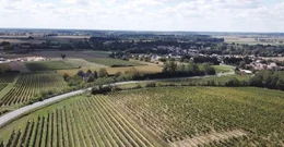 Frankreichs l&auml;ngste Weinstra&szlig;e: Im Loiretal werden auf 800 Kilometern L&auml;nge vielf&auml;ltige Weine angebaut.