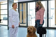 Sina Blasczik (Caroline Maria Frier, re.) kommt mit dem Hund des Fremden in die Sachsenklinik. Er ist in der Innenstadt vor ihr zusammengebrochen und der RTW konnte den Hund nicht mitnehmen. Schwester Miriam (Christina Petersen, li.) verweist sie sofort der Klinik. Hier kann der Hund nicht rein. Sina wei&szlig; nicht, was sie machen soll. Sie kennt den Besitzer des Hundes nicht und fragt nach den Noteinlieferungen der letzten halben Stunde. Als Miriiam ihr sagt, dass es sich nur um Robert W&uuml;nsch handeln k&ouml;nne, versteinert Sinas Gesicht.