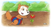 Auf einer Blume entdeckt Bobo einen Graßhüpfer. Auf einer Blume entdeckt Bobo einen Graßhüpfer.