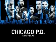 V.l.: Hank Voight (Jason Beghe), Kim Burgess (Marina Squerciati), Kevin Atwater (LaRoyce Hawkins), Trudy Platt (Amy Morton), Antonio Dawson (Jon Seda), Jay Halstead (Jesse Lee Soffer), Adam Ruzek (Patrick John Flueger) und Hailey Upton (Tracy Spiridakos) V.l.: Hank Voight (Jason Beghe), Kim Burgess (Marina Squerciati), Kevin Atwater (LaRoyce Hawkins), Trudy Platt (Amy Morton), Antonio Dawson (Jon Seda), Jay Halstead (Jesse Lee Soffer), Adam Ruzek (Patrick John Flueger) und Hailey Upton (Tracy Spiridakos)
