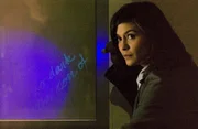 Sophie Neuvet (Audrey Tautou) ist Kryptologin der Pariser Polizei. Bei der Untersuchung des Mordes an ihrem Gro&szlig;vater Jacques Sauni&egrave;re erf&auml;hrt die Franz&ouml;sin, dass dieser ihr noch vor seinem Tod eine ganz besondere Botschaft hinterlassen hat ...