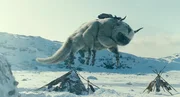 Auf den riesigen Bison, Appa, kann sich Aang immer verlassen ...