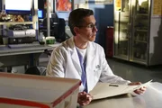 Palmer (Brian Dietzen)