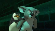 L-R: Skipper, Leonard