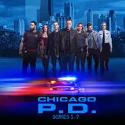 V.l.: Kevin Atwater (LaRoyce Hawkins), Kim Burgess (Marina Squerciati), Jay Halstead (Jesse Lee Soffer), Hank Voight (Jason Beghe), Hailey Upton (Tracy Spiridakos), Adam Ruzek (Patrick John Flueger) und Trudy Platt (Amy Morton) V.l.: Kevin Atwater (LaRoyce Hawkins), Kim Burgess (Marina Squerciati), Jay Halstead (Jesse Lee Soffer), Hank Voight (Jason Beghe), Hailey Upton (Tracy Spiridakos), Adam Ruzek (Patrick John Flueger) und Trudy Platt (Amy Morton)