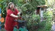 Magret beim H&auml;ckseln von St&auml;uchern und &Auml;sten