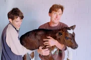Die Mitarbeiter Noah und Nils bringen ein Kalb in den K&auml;lberstall.
