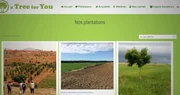 A tree for you &ndash; B&auml;ume pflanzen und CO2 kompensieren