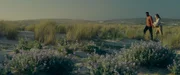 Alvy (Chiwetel Ejiofor) und Rachel (Emilia Clarke) haben mit dem Pod die Stadt verlassen.