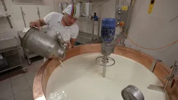 Die Milch wird in einer gemeinsamen "Kash&uuml;ttn" auf der Kallbrunn-Alm verarbeitet.