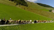 Almabtrieb, Tux-Finkenberg, Tirol,