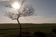 In seinen Erzählungen und Romanen erweckt er die kasachische Steppe zum Leben: Muchtar Äuesow gilt als einer der größten Schriftsteller seines Landes. In seinen Erzählungen und Romanen erweckt er die kasachische Steppe zum Leben: Muchtar Äuesow gilt als einer der größten Schriftsteller seines Landes.
