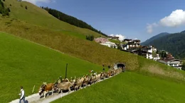 Tux-Finkenberg, Tirol, Almabtrieb.