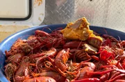 Louisiana ist bekannt f&uuml;r seinen Jazz, die Bayous und die roten Sumpfkrebse, die in New Orleans als leckerer Crawfish Boil verspeist werden.