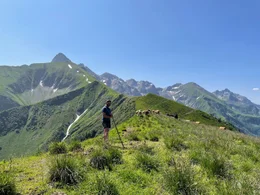 Viehhirte Patrick Schuster auf der Alpe Ein&ouml;dsberg.
