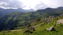 Junsbergalm, Tux-Finkenberg, Tirol.