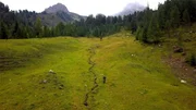 Filzmoosalm im Gro&szlig;arltal, Salzburg.