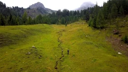 Filzmoosalm im Gro&szlig;arltal, Salzburg.