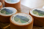 Aus der Milch stellen Agnes Gmünder und ihr Mann auf 1295 m leckeren Alpkäse her. Aus der Milch stellen Agnes Gmünder und ihr Mann auf 1295 m leckeren Alpkäse her.