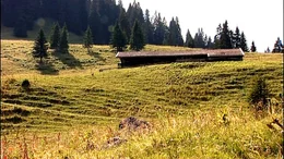 Uschis Alm hoch &uuml;ber dem Tegernsee.