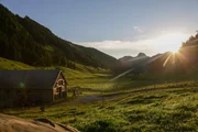 Früh raus. Auf der Alp beginnt der Tag für Katharina "Kaddi" Kestler schon um 5.30 Uhr. Früh raus. Auf der Alp beginnt der Tag für Katharina "Kaddi" Kestler schon um 5.30 Uhr.