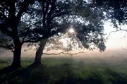 Sonnenaufgang: Seit jeher wird die Sonne in allen Kulturkreisen verehrt.