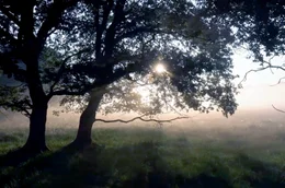 Sonnenaufgang: Seit jeher wird die Sonne in allen Kulturkreisen verehrt.