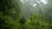 Gorilla-Arzt Dr. Gaspard Nzayisenga ist bei Wind und Wetter im Einsatz in Ruanda.