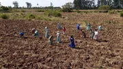 Gestalter Manuel Obermaier begibt sich auf eine Recherchereise in ein afrikanisches Herstellerland, wo ein Eigenmarktprodukt hergestellt wird &ndash; wie sieht es hier mit den Anspr&uuml;chen von Bio und Fair aus?