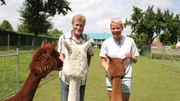 G&uuml;nter Repkow - Urlaub mit Alpakas in Trebatsch.