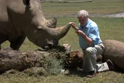 Sir David mit einem Nashorn und einem Nashornk&auml;fer im Zoo von Brisbane. Ein inneres Skelett erm&ouml;glicht es dem Nashorn, eine viel gr&ouml;&szlig;ere Gr&ouml;&szlig;e zu erreichen, als es wirbellosen Tieren jemals m&ouml;glich w&auml;re.  +++ Die Verwendung des sendungsbezogenen Materials ist nur mit dem Hinweis und Verlinkung auf RTL+ gestattet. +++