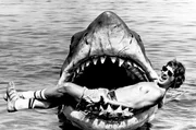 Regisseur Steven Spielberg bei den Dreharbeiten zu seinem Film &bdquo;Der wei&szlig;e Hai&ldquo; (1975), der als erster Blockbuster der Filmgeschichte gilt