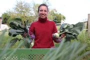 Landfrau Julia Hausladen mit erntereifen Kohlrabis. Landfrau Julia Hausladen mit erntereifen Kohlrabis.