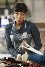 Dr. Camille Saroyan (Tamara Taylor) untersucht die Leiche eines Mannes, der anscheinend für den mysteriösen Inhalt seines Aktenkoffers ermordet wurde. Dr. Camille Saroyan (Tamara Taylor) untersucht die Leiche eines Mannes, der anscheinend für den mysteriösen Inhalt seines Aktenkoffers ermordet wurde.
