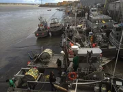 Boat docks in Alaska.