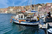Malerische Hafenstadt: Fischerboote im alten Hafen von Portoferraio vor der italienischen Insel Elba
