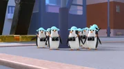 Pinguine