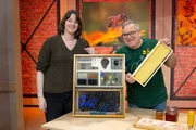 Dr. Johanna Prinz, Elton. Biologin und Autorin Dr. Johanna Prinz zeigt im Studio wie ein Bienenstock organisiert ist. Dr. Johanna Prinz, Elton. Biologin und Autorin Dr. Johanna Prinz zeigt im Studio wie ein Bienenstock organisiert ist.